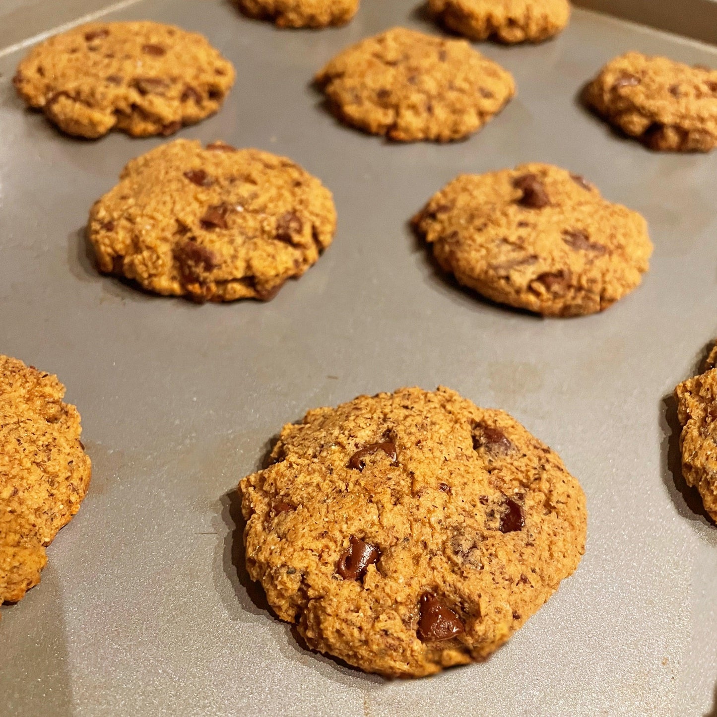 OG: Chocolate Chip - Variant Nutrition